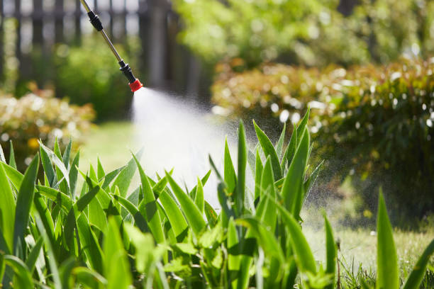 24/7 Emergency Cockroach Control experts in Alexandria, KY